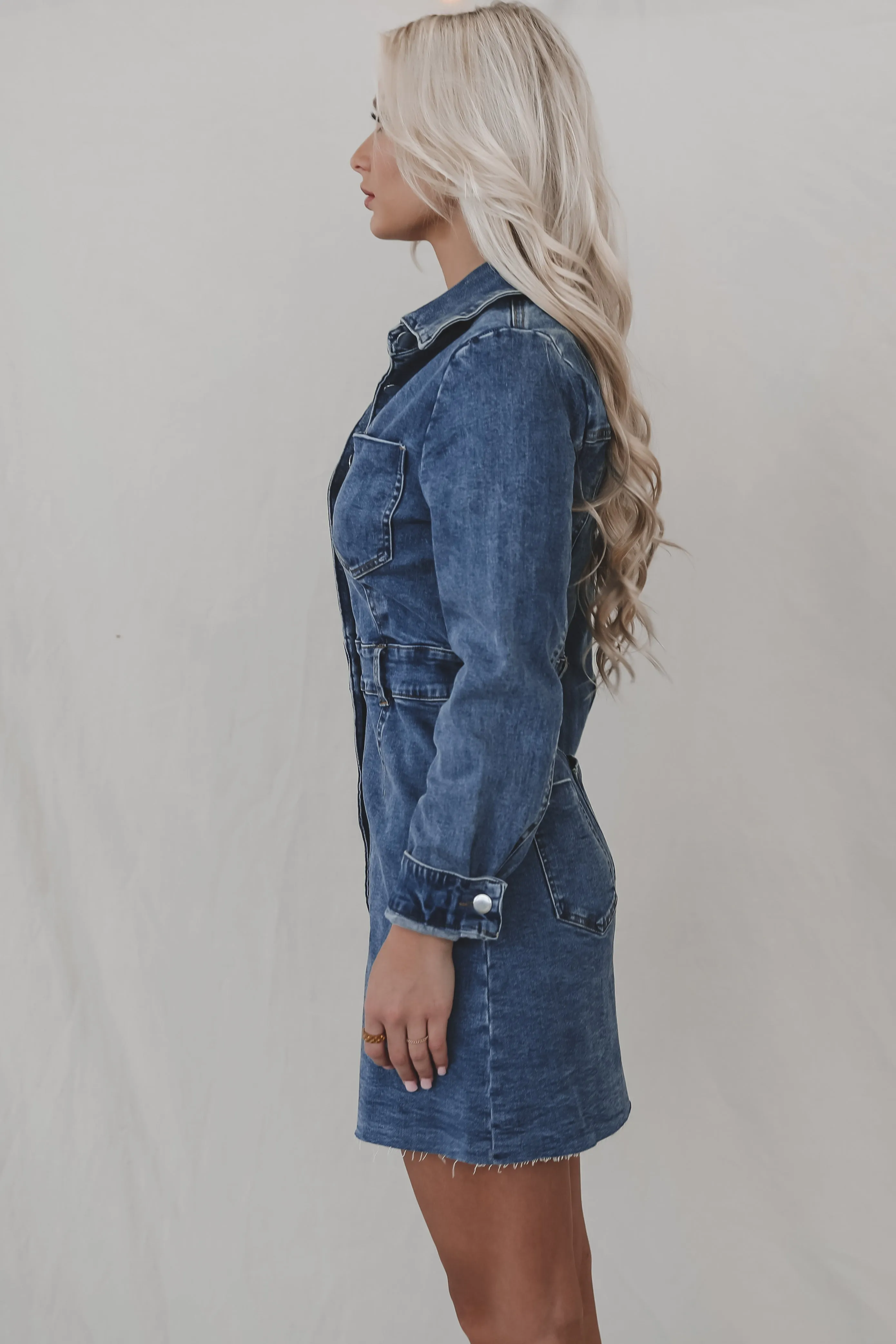 A Denim Daydream Button Up Dress