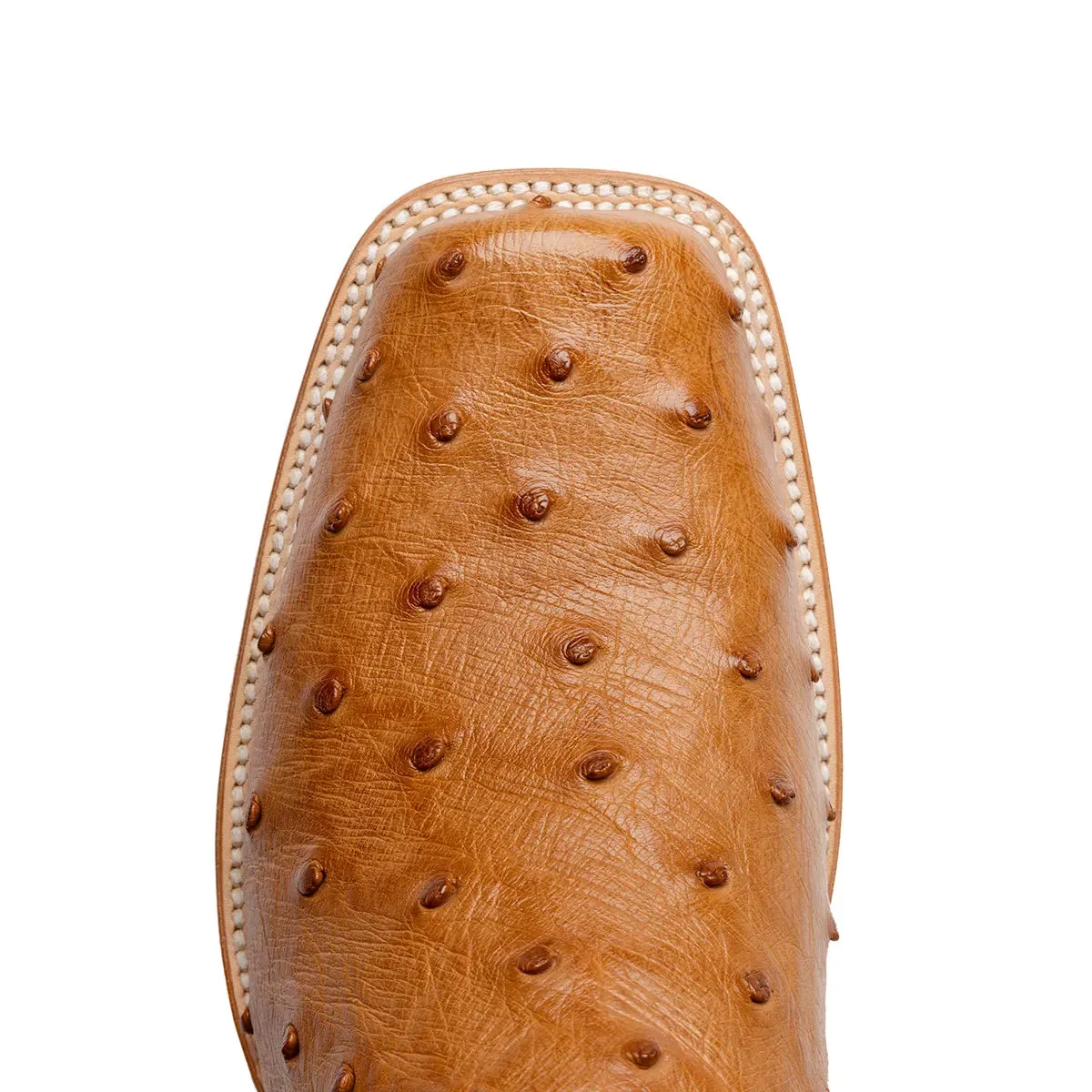 Antonio Full Quill Ostrich Stockman Square Toe Boot - Cognac