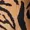 Camel Zebra Print Handkerchief Midi Dress