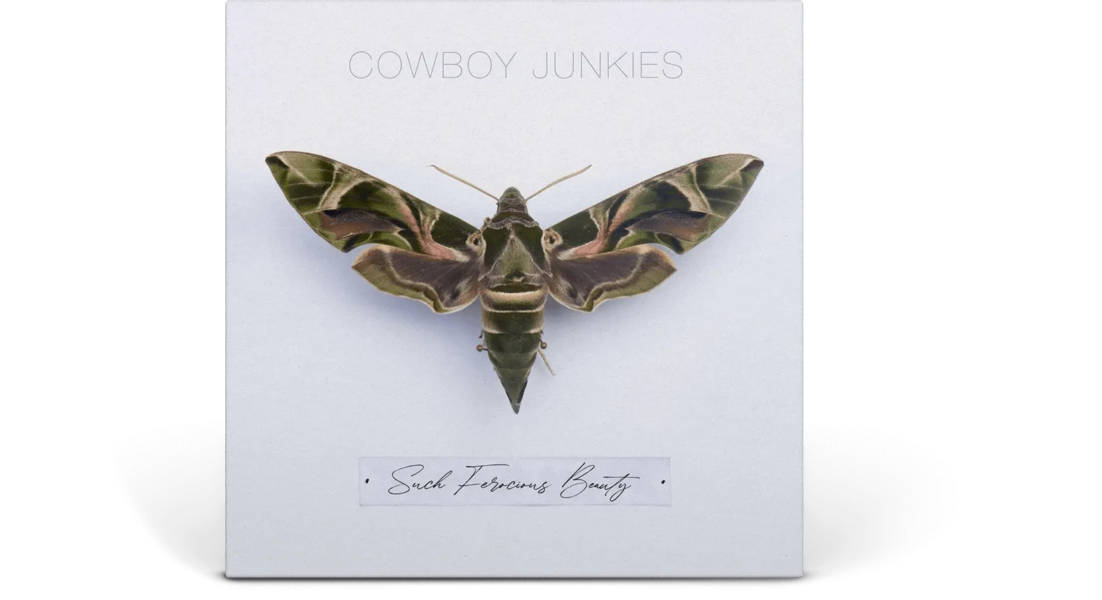Cowboy Junkies : Such Ferocious Beauty (Ltd Translucent Tan Vinyl)