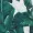 Green Leaf Print V-Neck Sleeved Skater Dress