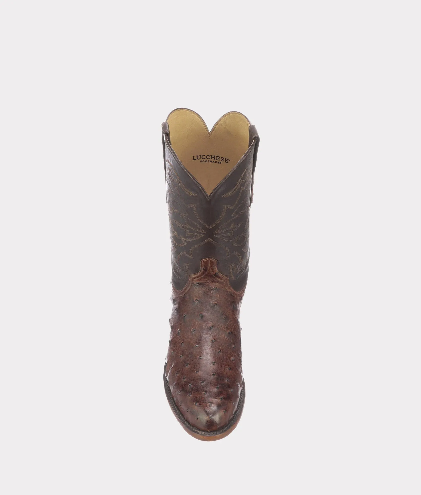 Hudson :: Chocolate