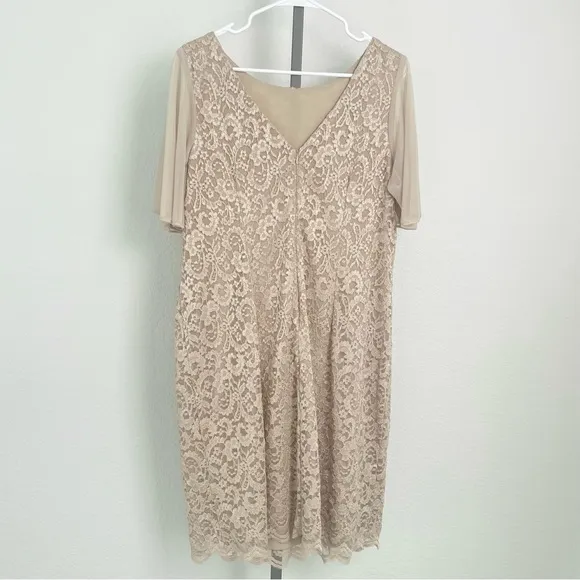 Jessica Howard Lace Flutter Sleeve Shift Dress in Nude-Gold Size 14W