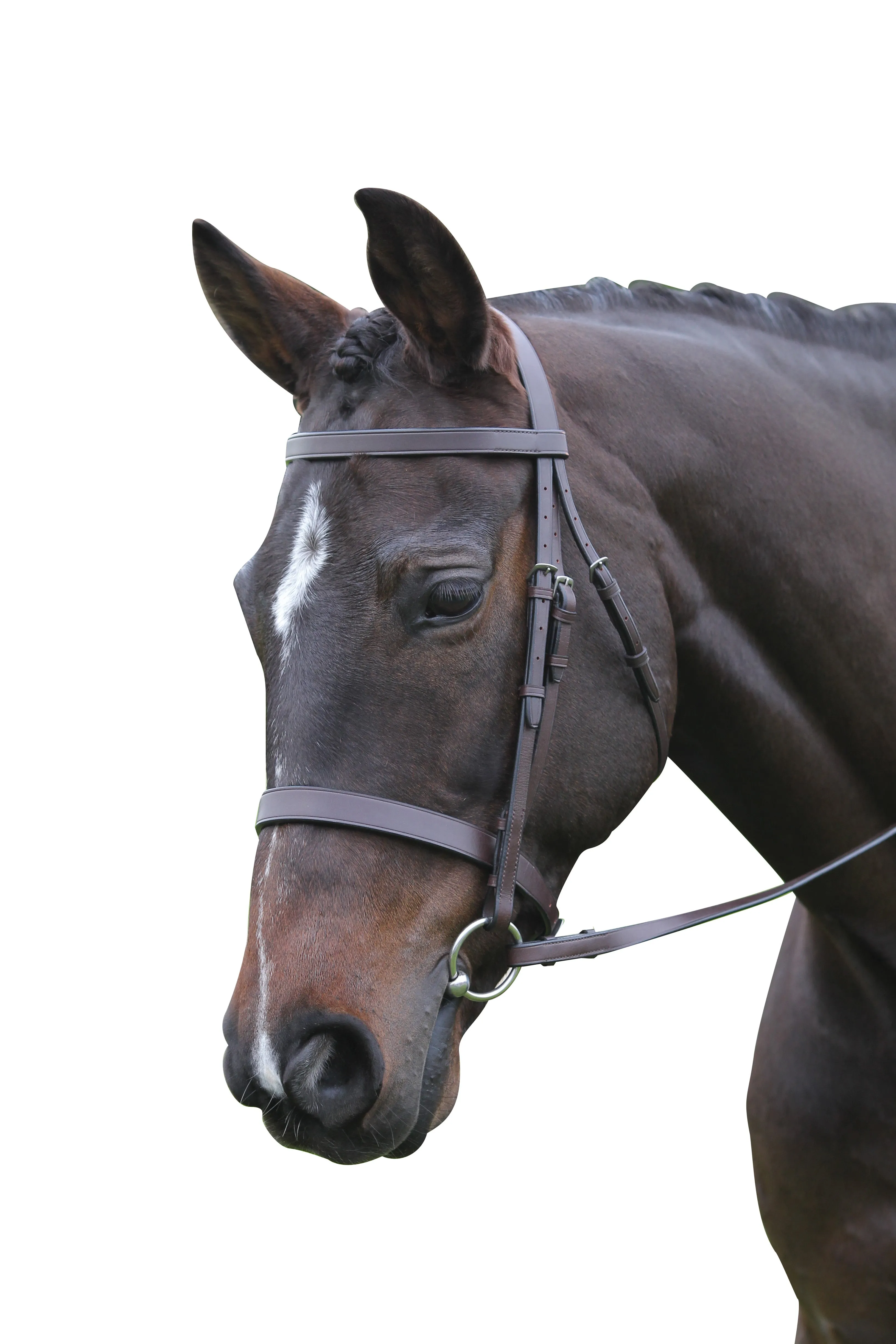 Kincade Flat Cavesson Bridle