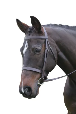 Kincade Flat Cavesson Bridle