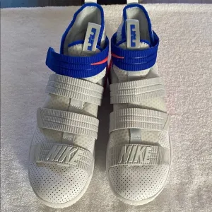 Labron James sneakers