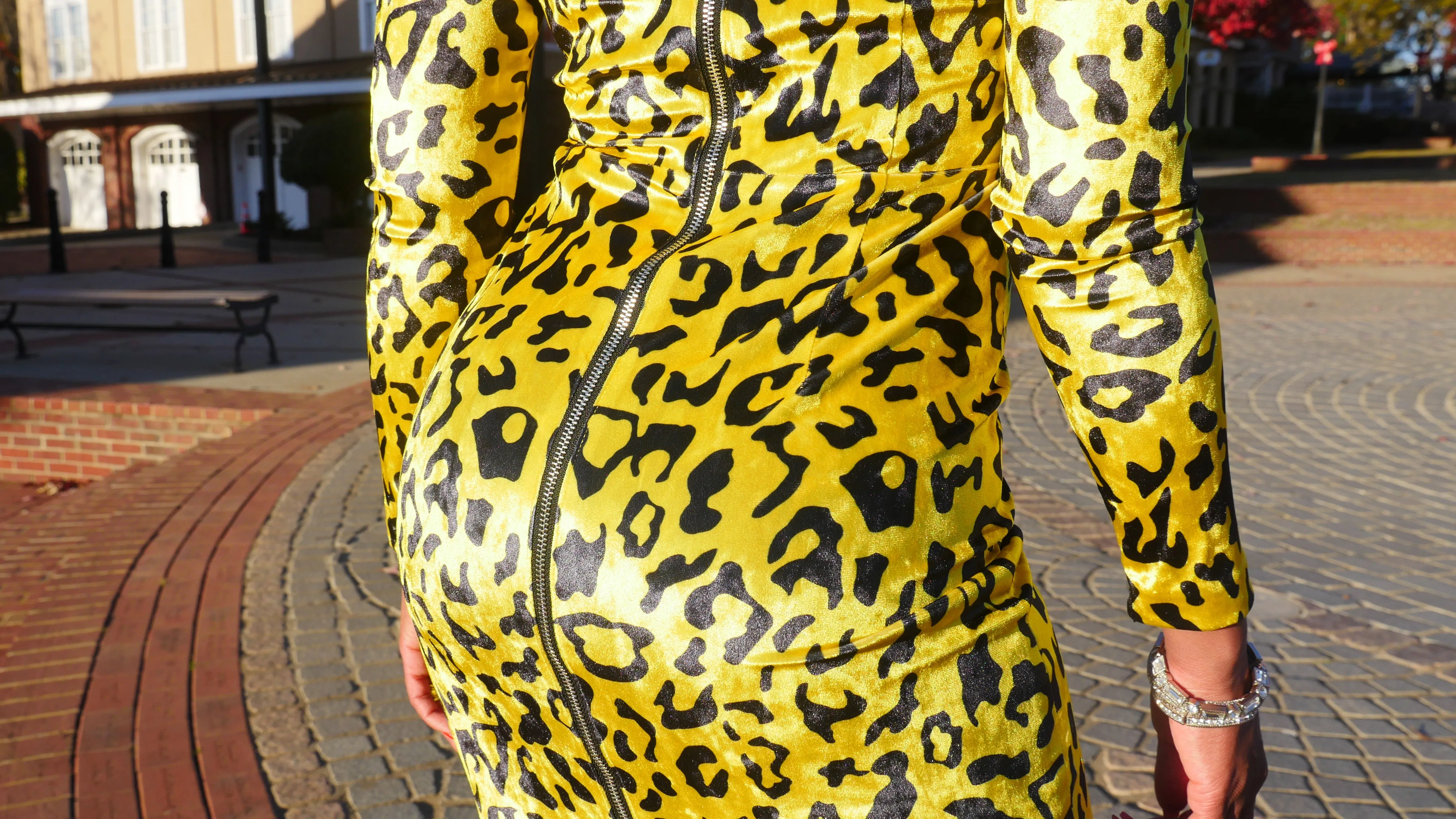 Lime Leopard Dress