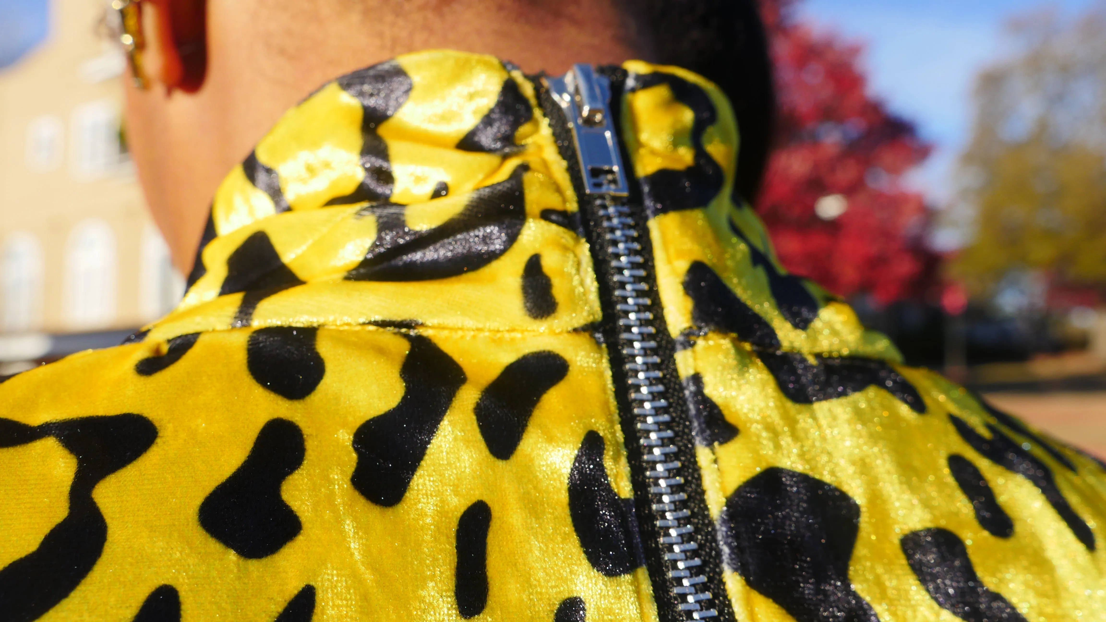 Lime Leopard Dress