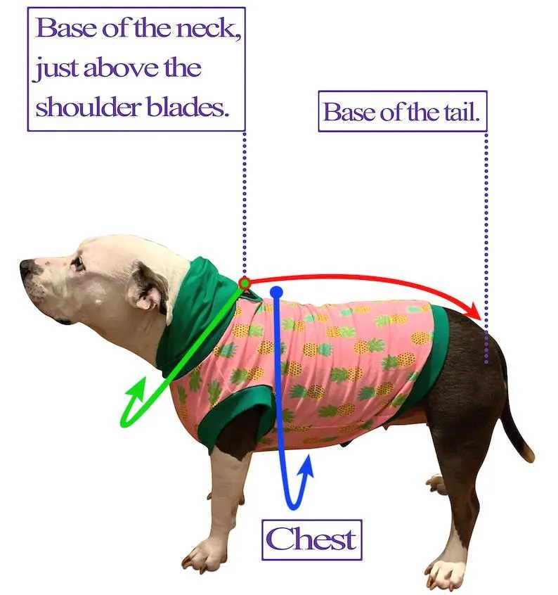 Muddy Pups - Dog Pajama with Fuchsia OR Yellow Neck & Trim/Sleeves