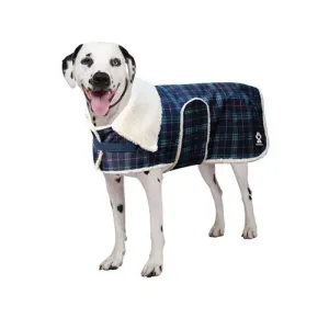 Shedrow K9 Aspen Dog Coat - Teal Pink Argyle