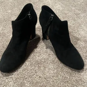 Splendid booties