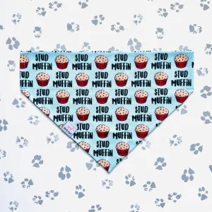 Stud Muffin Bandana