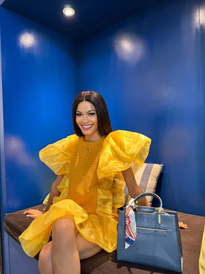 The Golden Ray-Organza trimmed dress