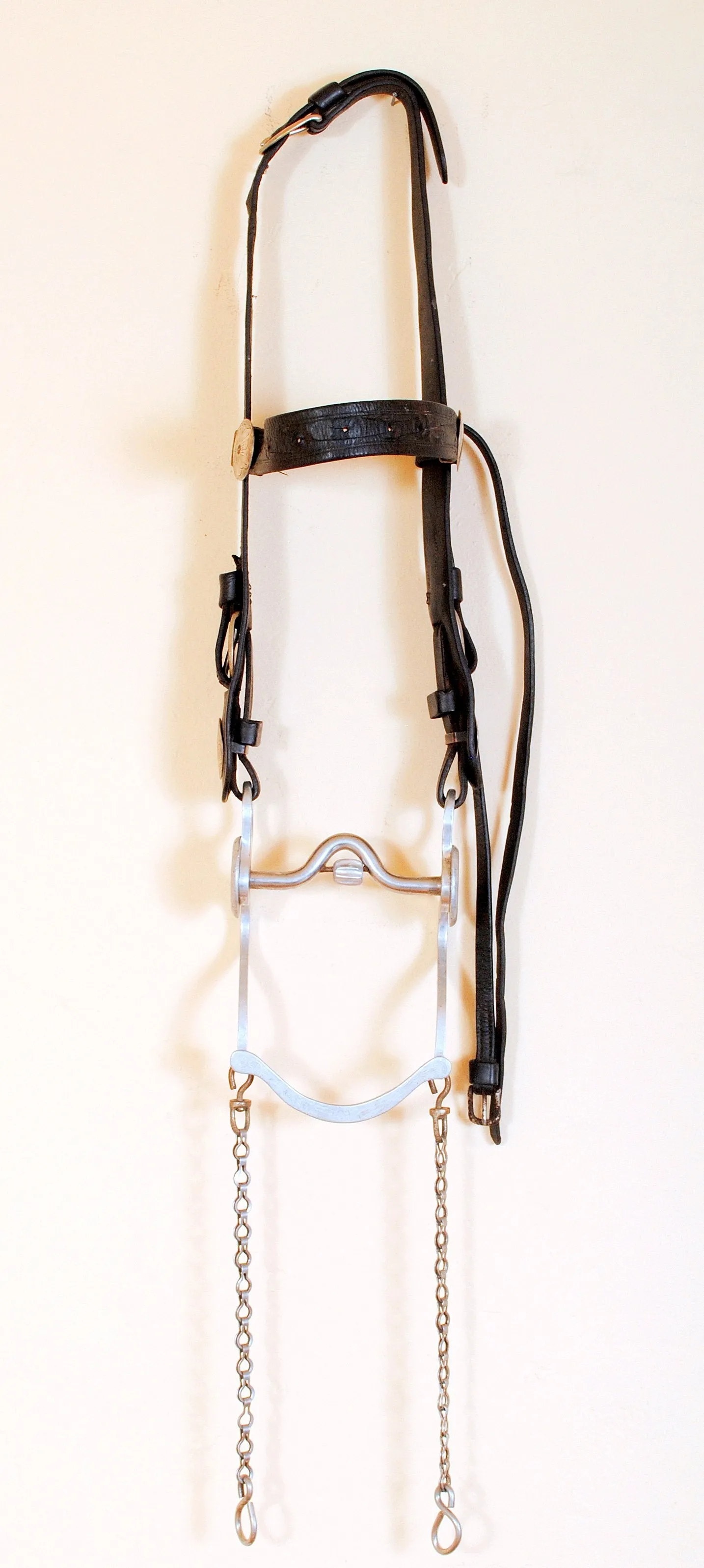 Vintage Tooled Headstall Bridle with Silver Conchos