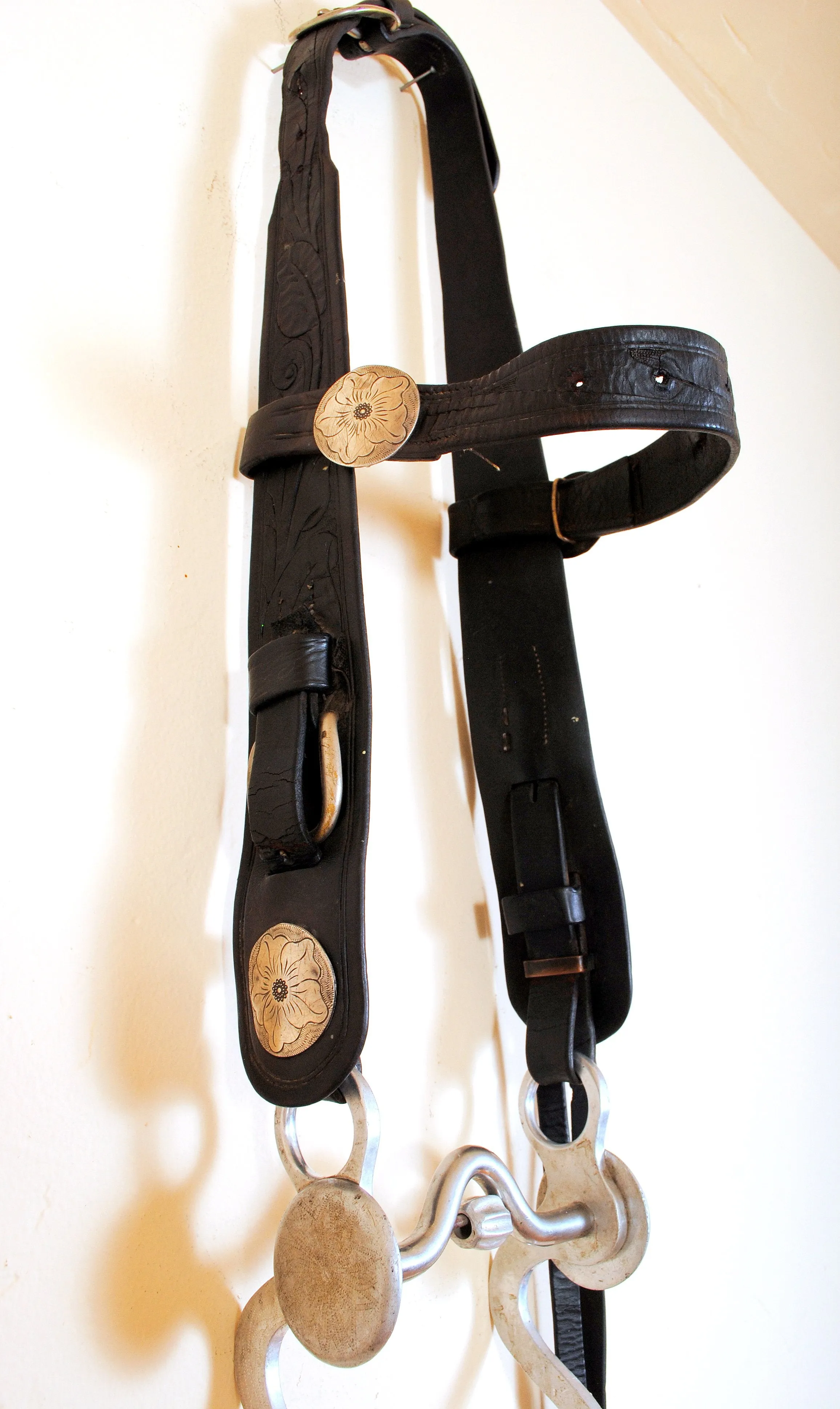 Vintage Tooled Headstall Bridle with Silver Conchos